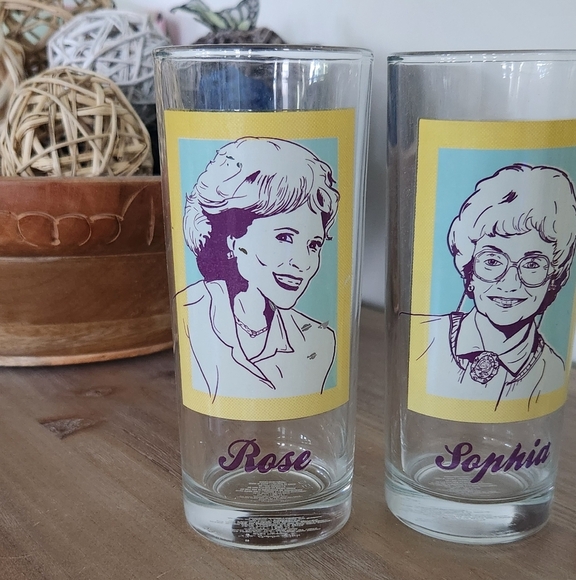 ๐น Silver Buffalo The Golden Girls Glassware Set โ 4 Glasses, 10oz Each, New in - Picture 13 of 16
